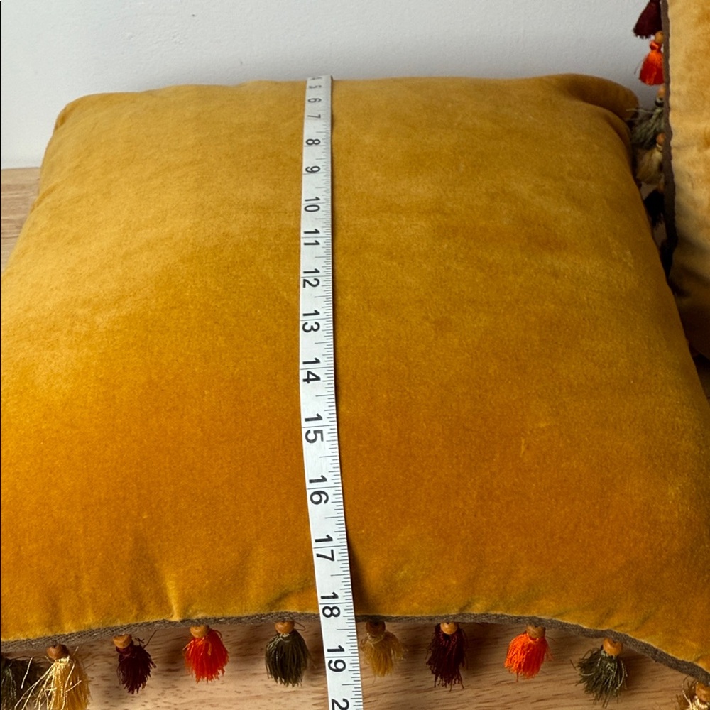 Set of Pier 1 Velvet boho pillow with tassels - Picture 9 of 13